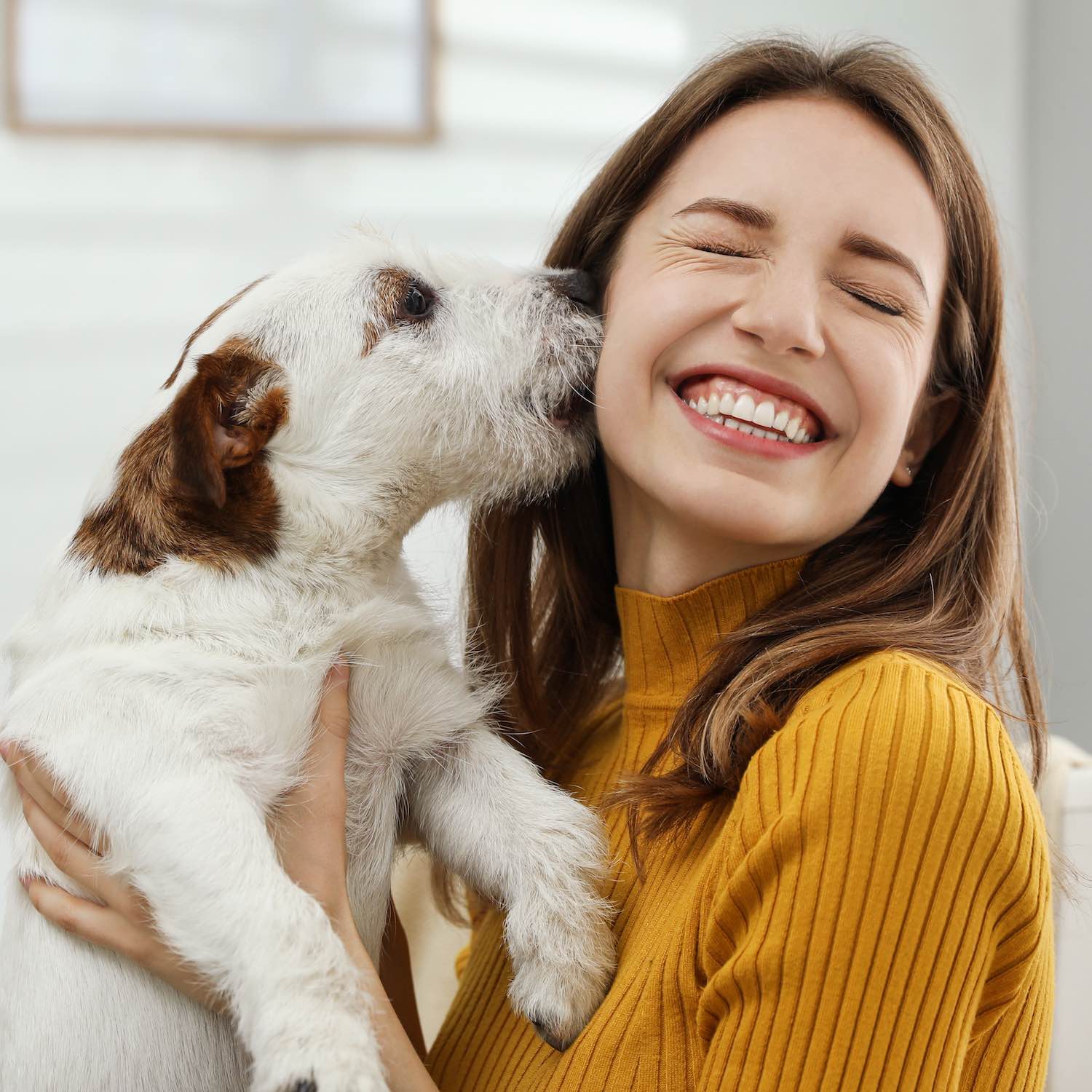 Produits-veterinaires-la-pharmacie-vert-pom Produits-veterinaires-la-pharmacie-vert-pom